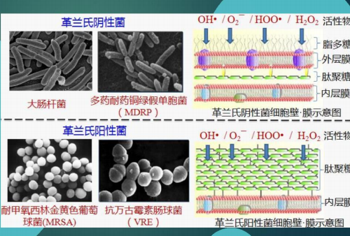 森盟研發(fā)抗冠狀病毒光觸媒噴劑，已送中科院進行全面檢測